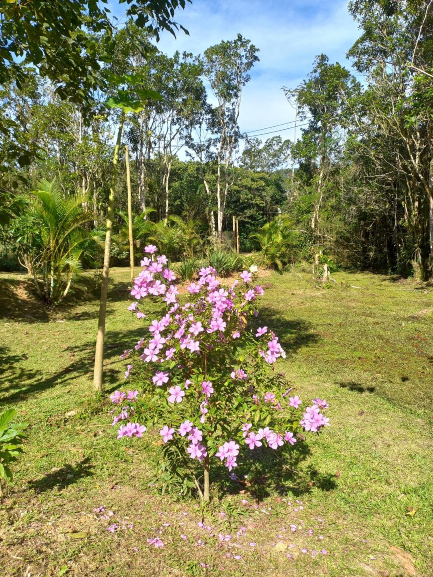 Recanto dos Lobosco Araquari Exterior foto