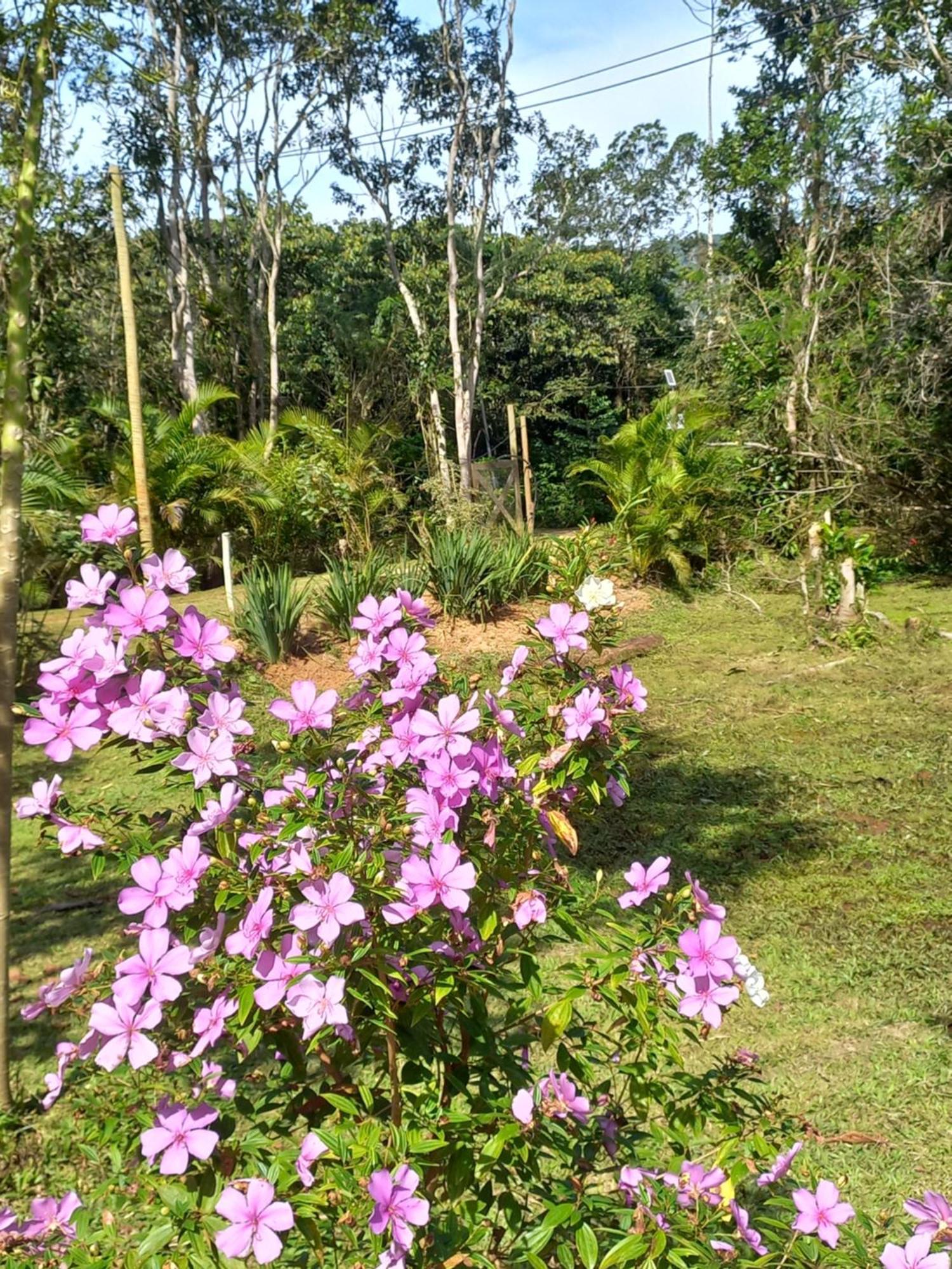 Recanto dos Lobosco Araquari Exterior foto